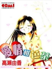 爱情柑芭茶