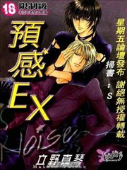预感EX noise