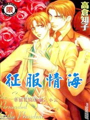 征服情海