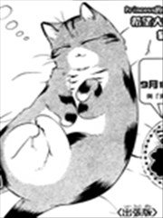 圆都都猫咪喵