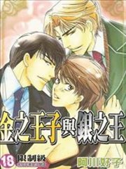 金之王子与银之王