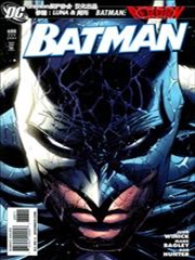 蝙蝠侠：暗夜长影