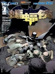 蝙蝠侠V2