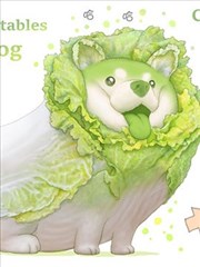 蔬菜图鉴