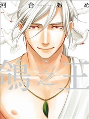 鸽之王