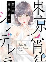 东京宵待辛德瑞拉