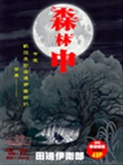 森林中