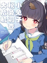 （C103）小兔子税务调查大危机