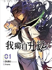 我独自升级