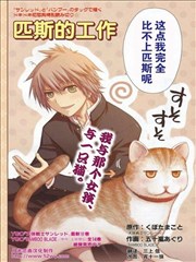 匹斯的工作