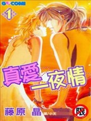 真爱一夜情