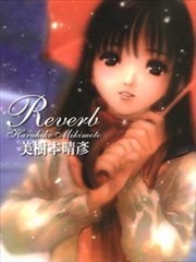 Reverb响