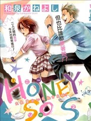 honey so sweet