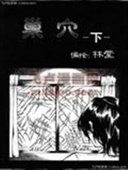 巢穴