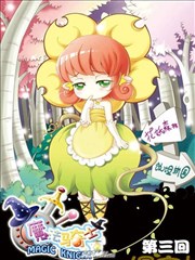 魔法骑士