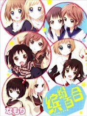 缤纷百合
