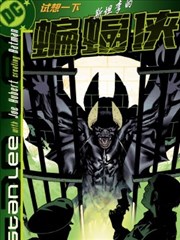 试想一下斯坦李的DC宇宙