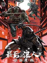 忍者神龟：最后的浪人II－革新重燃