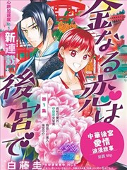 宫锁金缘