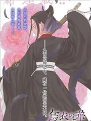 乌衣之华