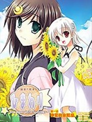 向日葵 －the Door into Summer－