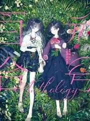 年号百合合集