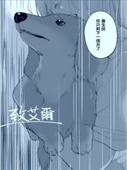 致艾尔