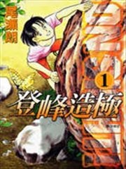 登峰造极