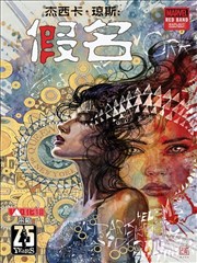 杰西卡·琼斯：假名－红标